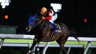 【大井・東京ダービー枠順】1着賞金1億円をかけた春の3歳ダート王決定戦 二冠狙うフィンガーは6枠12番