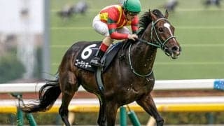 【JRA・WIN5】本日のWIN5は的中208票、配当287万4500円