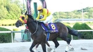 【佐賀王冠賞結果】ビキニボーイが断然人気に応えて連覇達成