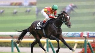 【香港JT】断然人気ゴーラッキーが完封、鮮やかな逃げ切りで3勝目