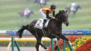 【新馬/東京5R】エフフォーリア産駒JRA初勝利！ジョドレルバンクが断然人気に応える