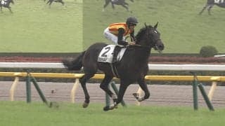 「強すぎる」大注目新馬が“舌出し”カメラ目線？ エフフォーリア産駒“一番星”圧巻レースにファン興奮「これは本物」