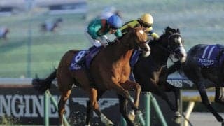 【英コロネーションC】世界ランク1位カランダガンが40馬身超離される大敗