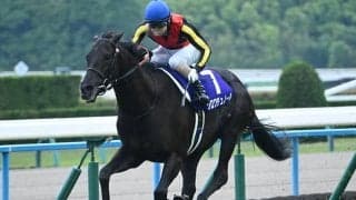 上半期の総決算・宝塚記念など3重賞/今週の競馬界の見どころ