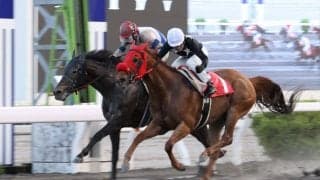 【高知・瀬戸特別】12歳馬グッドヒューマーが衰え知らずの逃走劇！宮川実も驚く鮮烈V