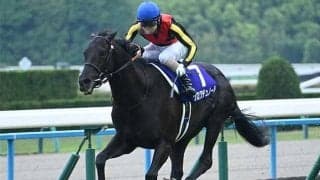 【宝塚記念想定騎手】クロワデュノールは北村友一騎手、メイショウタバルは武豊騎手