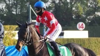 【先週のJRA抹消馬】昨年の中日新聞杯2着馬レッドバリエンテ、24年のスプリングSで2着のアレグロブリランテなど