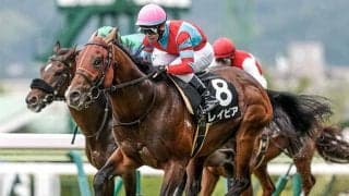 【函館スプリントS想定騎手】レイピアは横山武史騎手、ピューロマジックは北村友一騎手