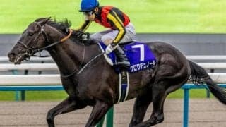 史上初の春古馬三冠なるか クロワデュノールが褒賞金3億円狙う