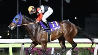 【東京ダービー】ダート二冠がかかるフィンガーは6枠12番