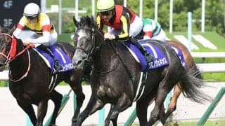 宝塚記念着差ランキングTOP5 1位は6馬身差の歴史的圧勝