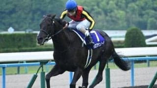 【宝塚記念予想オッズ】クロワデュノールが予想1番人気