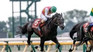【東京JS予想オッズ】ジューンベロシティが予想1番人気