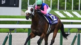 【宝塚記念展望】阪神巧者メイショウタバルが連覇に挑む