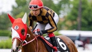 【函館スプリントS】レース史上初の母仔Vなるか モズナナスターが初タイトル狙う