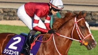 22年ぶり6頭目の外国産馬Vなるか シンエンペラーが宝塚記念で復活狙う