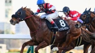【函館スプリントS】レース史上最高齢Vなるか 衰え知らずの9歳ウイングレイテストが参戦