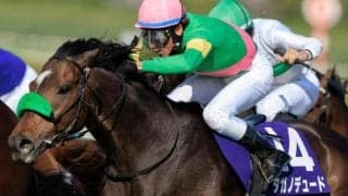 宝塚記念登録馬の香港馬名を紹介 「高野俊士」や「甜蜜時刻」など18頭