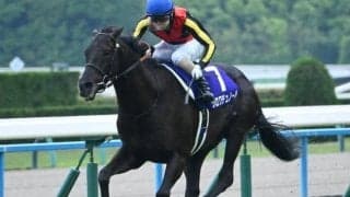 宝塚記念の傾向分析 AIもクロワデュノールを高評価