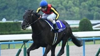 【宝塚記念枠順確定】クロワデュノールは3枠5番、メイショウタバルは8枠16番