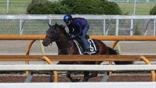 ローベルクランツ、ラジオNIKKEI賞2週前追い切り速報/栗東トレセンニュース