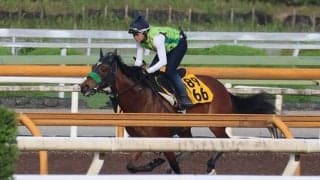 テレサなど、府中牝馬S1週前追い切り速報/栗東トレセンニュース