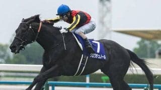 【宝塚記念・調教後馬体重】クロワデュノールは516kg、ミュージアムマイルは510kg