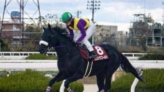 現2歳世代には“1頭のみ” ヒロシゲゴールド産駒が土曜阪神6Rで初陣