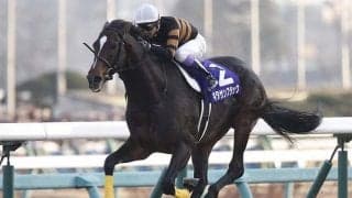 「ウマ娘」藤田晋オーナーの2.4億円馬 ダイナマイクが川田騎手で初陣V狙う