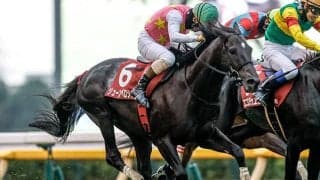 【東京JS枠順確定】ジューンベロシティは8枠9番、スズカハービンは2枠2番