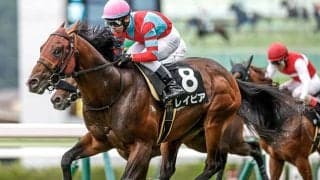 【函館スプリントS枠順確定】レイピアは3枠3番、インビンシブルパパは7枠11番