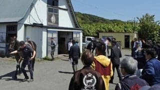 三石軽種馬1歳馬育成管理品評会が開催 14頭から牡牝の最優秀賞が選ばれる