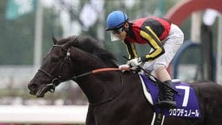 【競馬予想】宝塚記念、クロワデュノールに勝てる\"余力\"は残っているのか？　結末は偉業達成か、大波乱か...