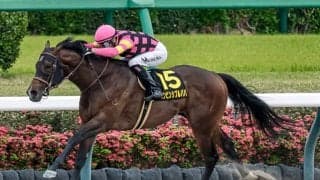 【函館スプリントS予想】前走3着以内の馬が馬券の中心!? 近況のリズムが冴えない軽視すべき一頭とは