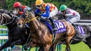 半兄に天皇賞(春)覇者とJpnI・4勝馬 メイショウタカネがデビューV狙う