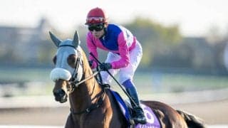 【宝塚記念】武豊メイショウタバルは506kg…出走馬調教後の馬体重