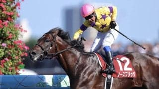 ノースブリッジの登録抹消…東京競馬場で乗馬に