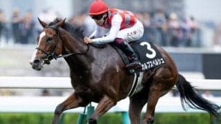 【函館SS予想】サマースプリント開幕戦 洋芝適性と持続力が試される重賞