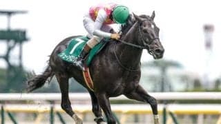 【東京JS予想】平地力も問われる障害重賞 難コースに実力馬集う
