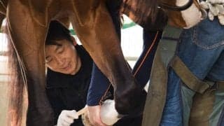 【装蹄師・西内荘コラム】メイショウタバル、連覇への挑戦