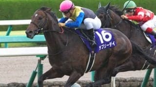 宝塚記念配当ランキング 1位は15年の52万8510円