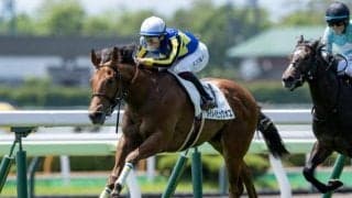 【函館5R新馬戦結果】サートゥルナーリア産駒ダイメイビッグボスが抜け出しV