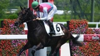【阪神5R新馬戦結果】グレーターロンドン産駒ロンドンガーズが3馬身差V