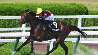 【JRA・WIN5】本日のWIN5は的中616票、配当53万5980円