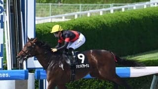 【三宮S結果】グランドプラージュが断然人気に応えて3馬身差V