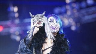 “世界的ゲームコレクター”の一面を持つ日本人美女レスラー、「プライベートゲーセン」で撮影された貴重な自撮りショットに反響
