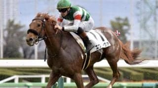 全兄はエフフォーリア エヴィーヴァが距離短縮で初勝利なるか