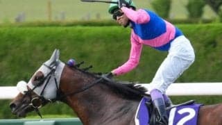 【宝塚記念過去10回傾向】直線の短い阪神芝2200m 逃げ・先行馬が有利なコース