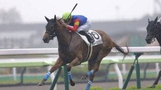 【函館1R】函館競馬開幕！オープニングレースは舟山瑠泉ディーズメンフィスがV
