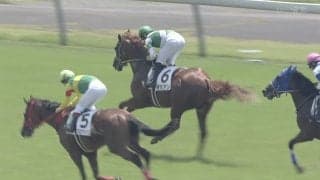 「最強伝説やん」“伝説の名馬”初年度産駒が日本で初V！ “芝”での勝利に「これはヤバい種牡馬」驚きの声